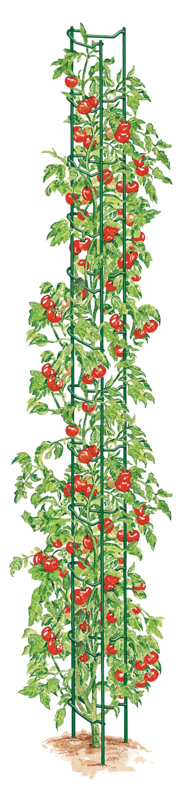 Stacking Tomato Ladder Stakes (Green)