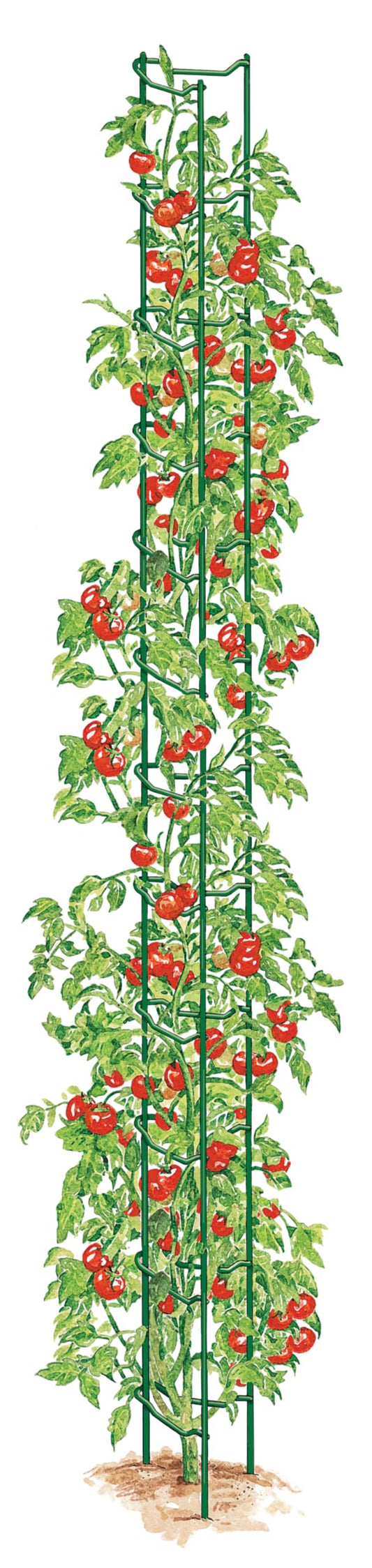 Stacking Tomato Ladder Stakes (Green)