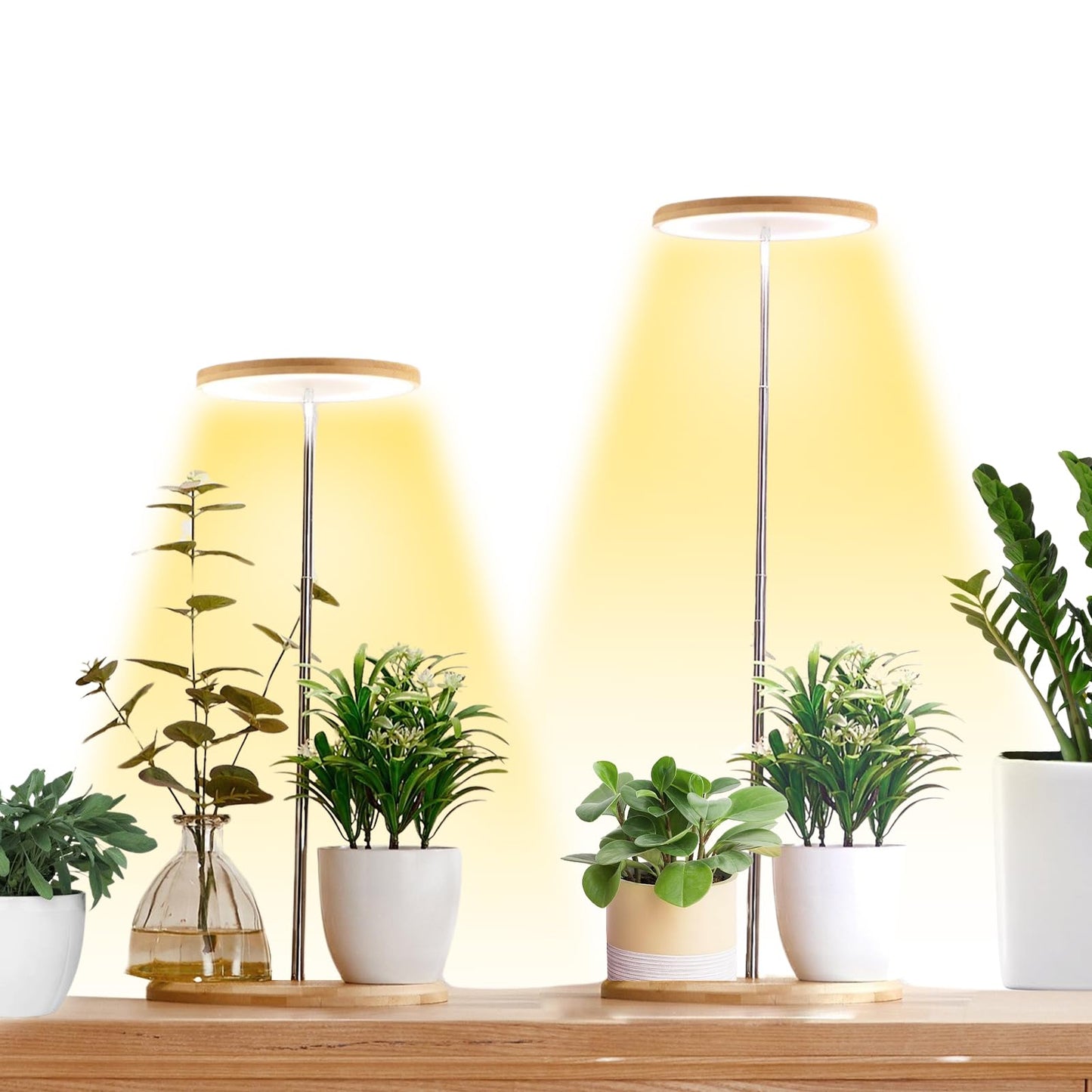 Plant Grow Light for Indoor Plant,Bamboo Mini LED Grow Light Garden,Height Adjustable,Automatic Timer with 8/12/16 Hours