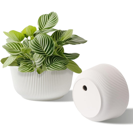 T4U 8 Inch Self Watering Pots for Indoor Plants, 2 Pack Plant Pots, Durable Plastic Self Watering Planter for Indoor Plants (2 Pack, 8", White)