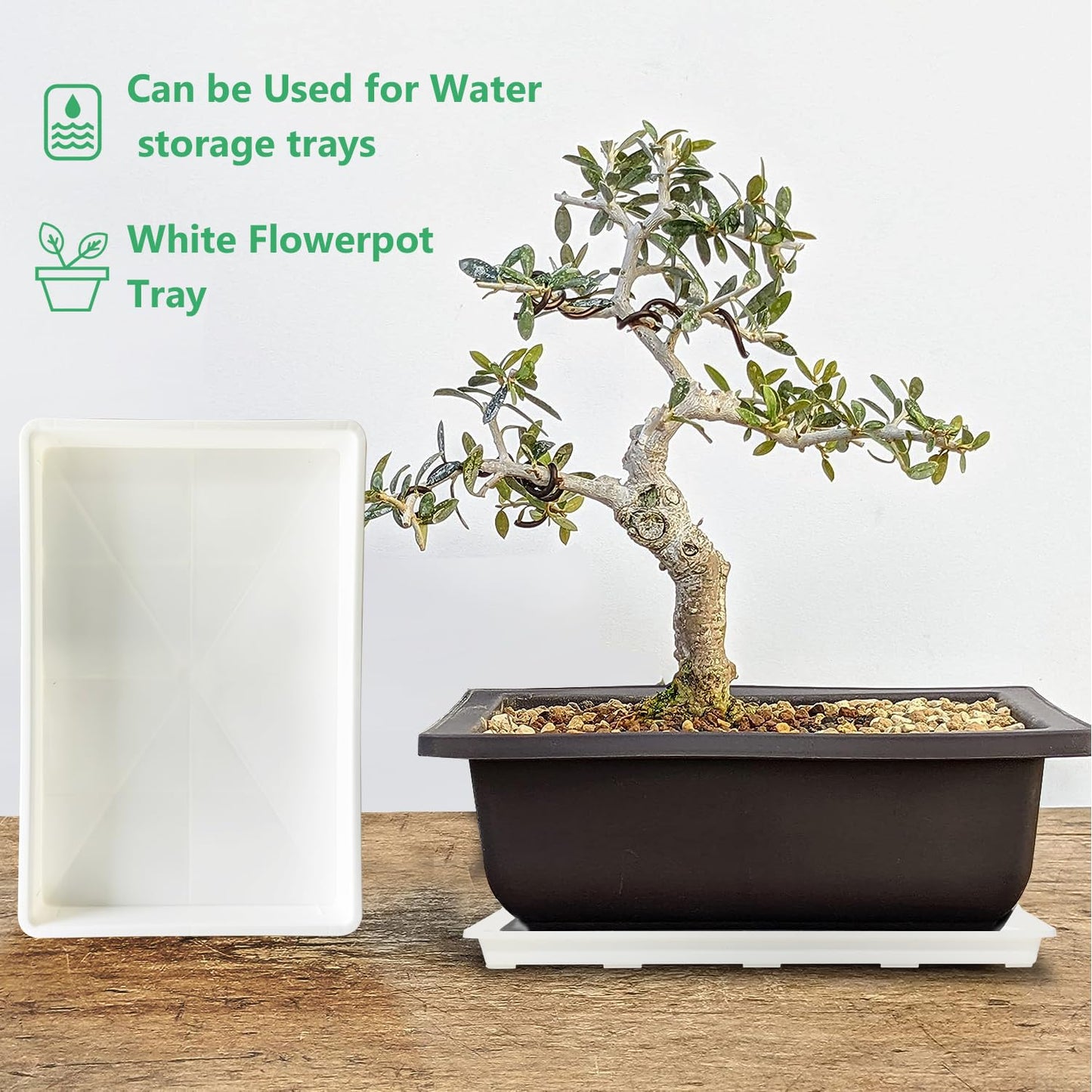 RooTrimmer 5 Pack Nursery Pot Tray, Carrying and Holding Plant Tray for Pot 24 Cell Carrying Holder Drainage Watering Plant Tray (White)