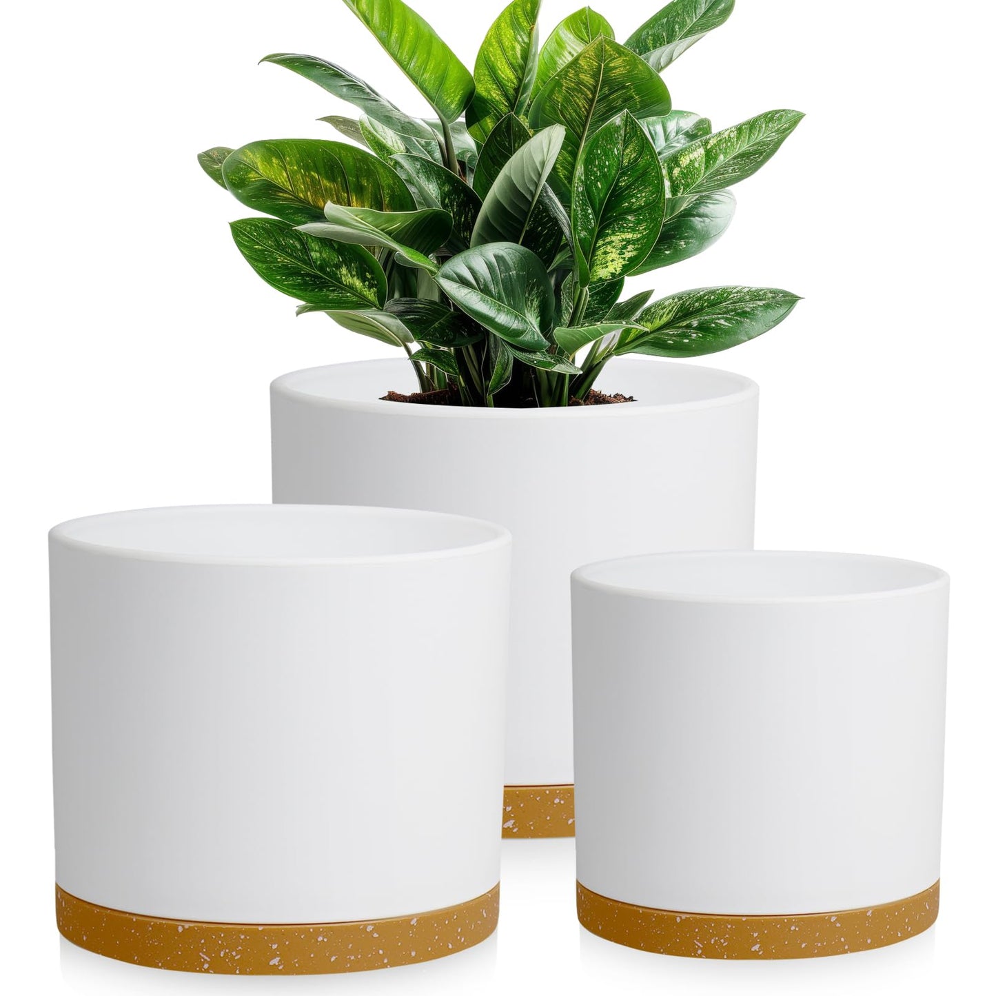 DGJDLWHX Large Plant Pots Set of 3 – 8", 9", 10" Indoor Flower Pots with Drainage Holes and Saucers, Big Planters for Monstera, Fiddle Leaf Fig, Snake Plant – 5 Colors