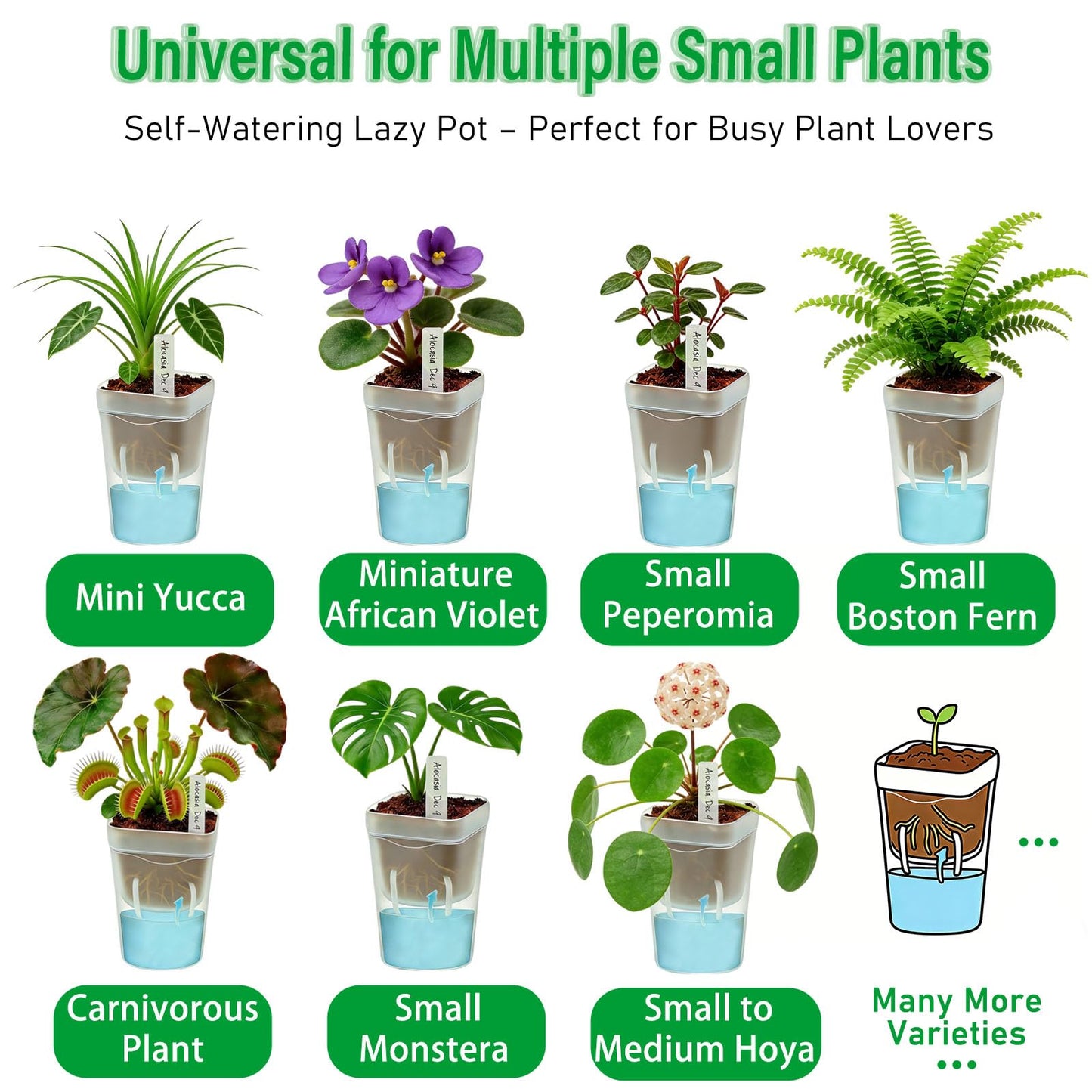 Godudio 20 Pack 2.5" Small Self Watering Pots for Indoor Plants，Premium Sturdy Plastic with Water Level Markings and Cotton Wicks,Ideal for Seedlings and Naked Root Plants