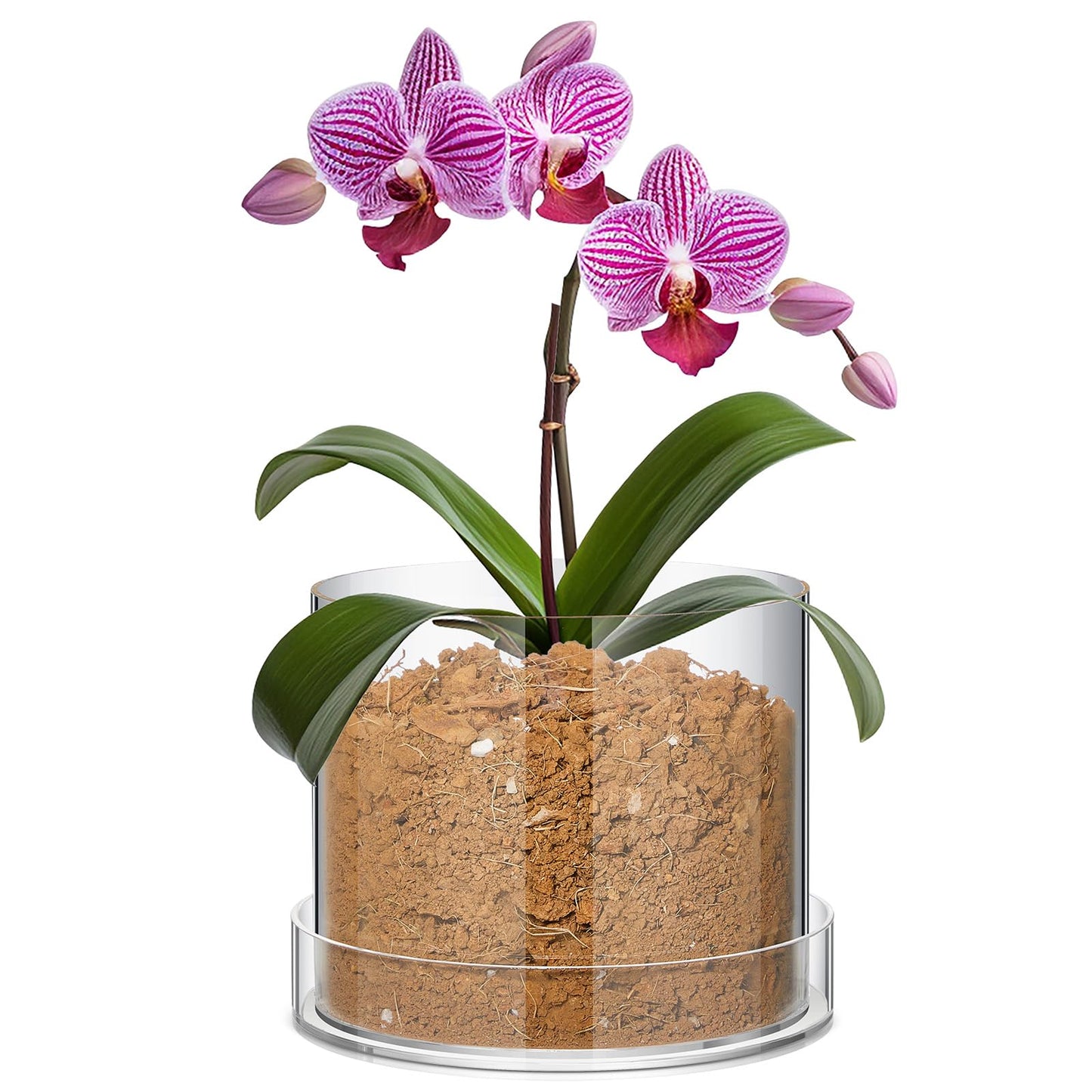 Sunnychicc Clear Plant Nursery Pots Acrylic Orchid Pots with Drainage Holes and Tray Transparent Planter for Indoor Plants, Succulents, Herb, Flowers and Cactus Decorative(8 Inches,Circle)