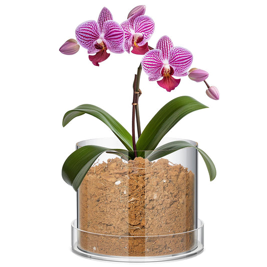 Sunnychicc Clear Plant Nursery Pots Acrylic Orchid Pots with Drainage Holes and Tray Transparent Planter for Indoor Plants, Succulents, Herb, Flowers and Cactus Decorative(8 Inches,Circle)