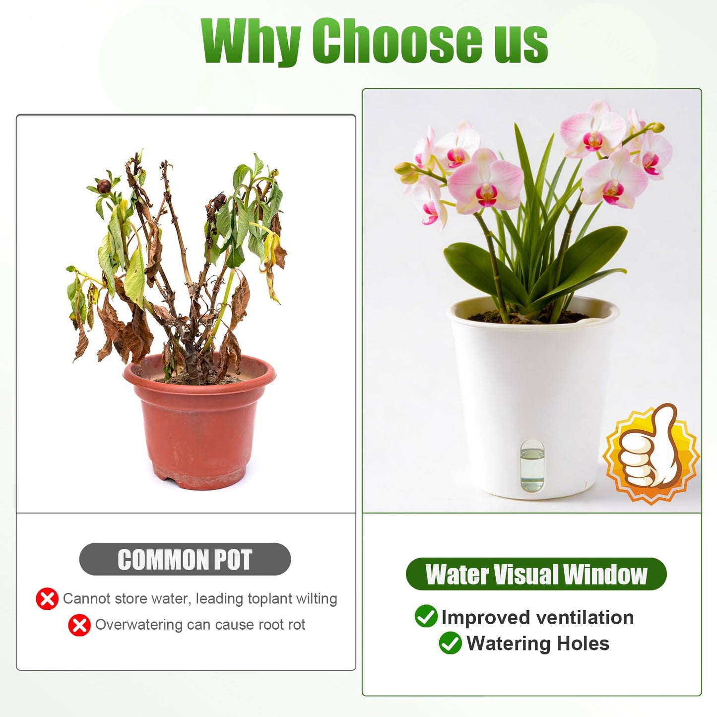 Sileasncei 10 Pack Self Watering Planters for Indoor Plants, 3 Inch White Plastic Flower Pots for Succulents, Herbs, and African Violets Self-Watering System for Low Maintenance Gardening