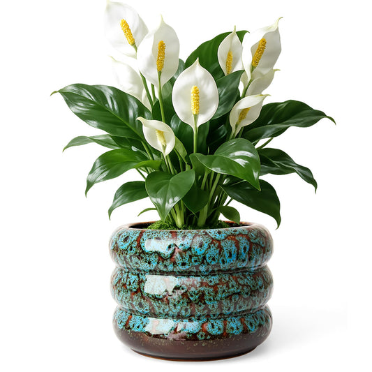 YINUOWEI Ceramic 6 inch Plant Pot - Planter for Indoor Plants with Drainage Hole, Flower Pots for Orchid, Succulent,Outdoor Plants, Modern Glaze Planters for Home Office Decor Gift