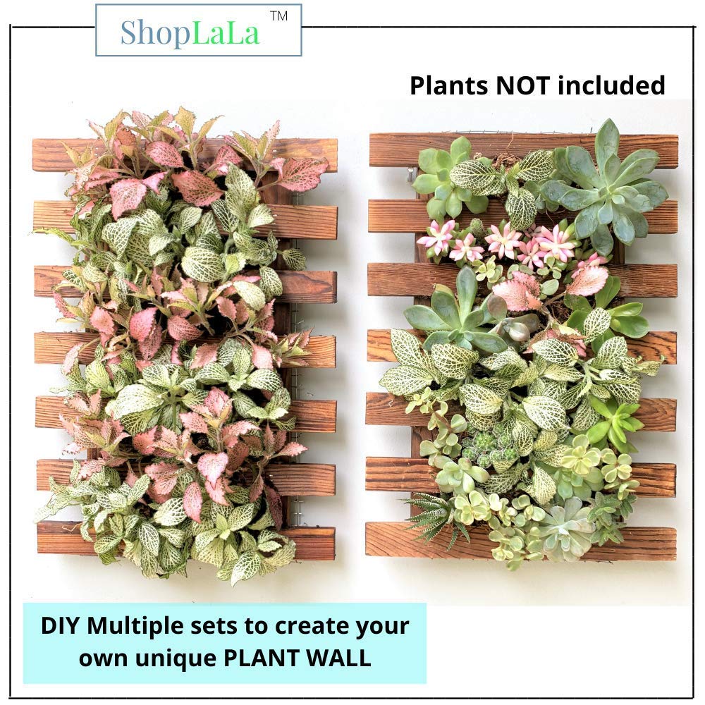 ShopLaLa Wall Planters - 4 Pack Wooden Hanging Planter for Indoor Outdoor Plants, Air Plant Succulent Orchid Holder, Live Vertical Garden Wall Mounted Plant Stand, Wall Christmas Decor 15.7" (40cm)