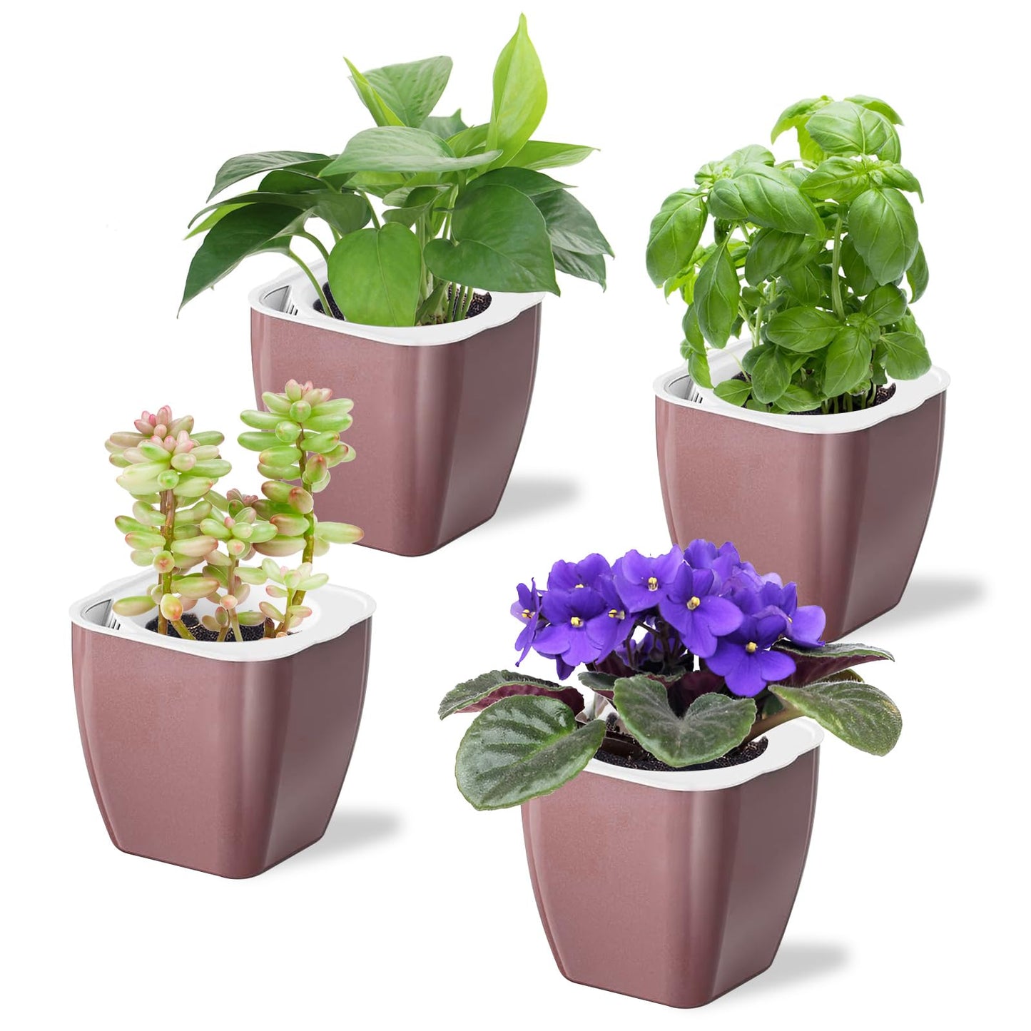 Oliz 4 Pack Self Watering Pots 4-inch Decorative Flower Planters for Indoor Plants Modern Square planters for Small Plants Window Sill Planters for Succulents, African Violets, Herbs(Rose Gold)