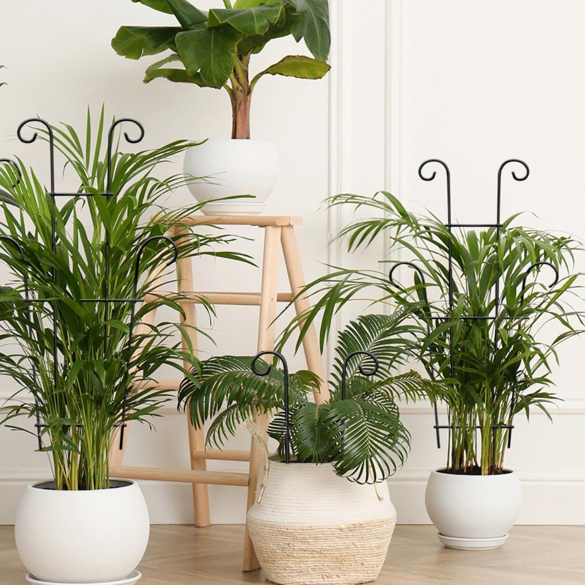 4(Four) Expandable Metal Trellis for Potted Plants, 2(Two) 23in Plant Trellis for Potted Plants and 2(Two) 32.6in Plant Trellis for Climbing Plants Indoor