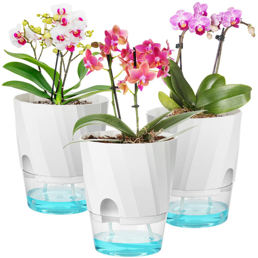 KIMCHOMERSE Self Watering Plant Pots, 6 Inch Plant Pots White, 3 Pack Flowers Pot Indoor Planter Pots with Tray for Spider Plant, Orchid, African Violet
