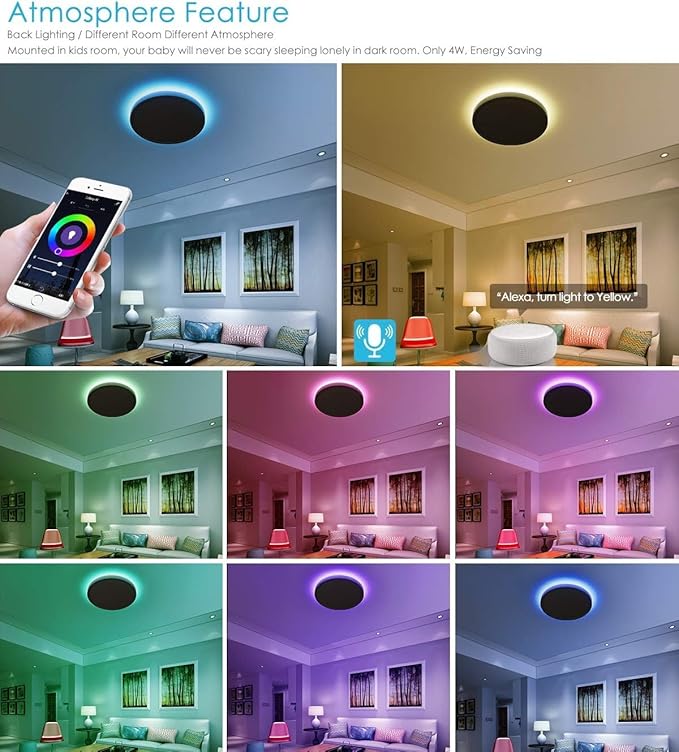 TALOYA Smart Ceiling Light Fixture 10 Inch Flush Mount Led with RGB Night Light, Compatible with Alexa Google Assistant, 2.4G WiFi Ceiling Mount Lamp for Kids’ Room
