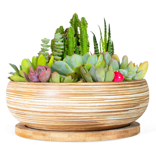 ARTKETTY Succulent Pots - 7.5 Inch Large Plant Pot with Bamboo Tray, Shallow Bonsai Pots with Drainage, Ceramic Planter for Indoor Plants, Cactus, Home Office Desk Decor