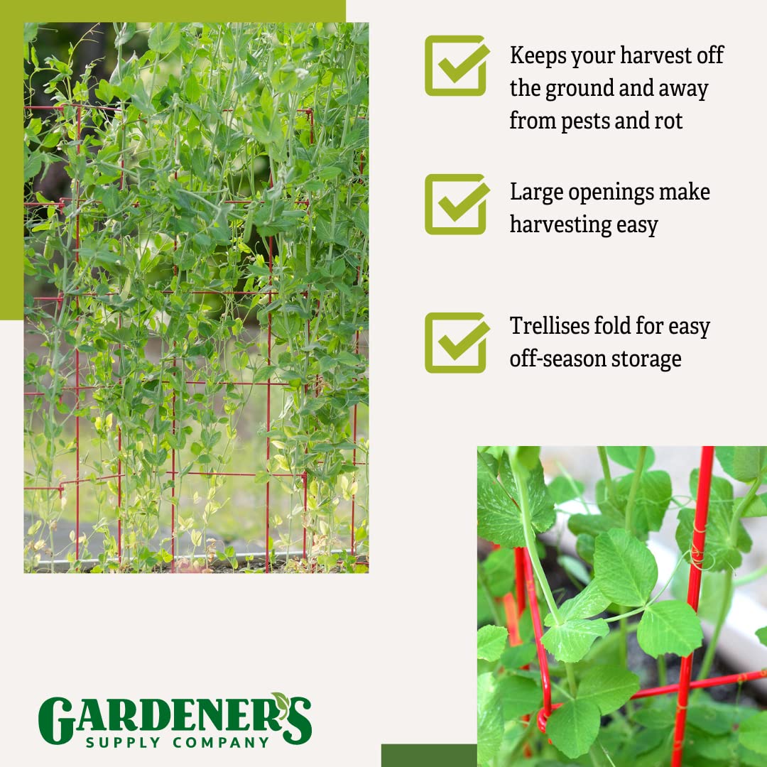 Gardeners Supply Company Sturdy Expandable Tall Pea Trellis for Climbing Plants | Multi-Use Heavy Duty Outdoor Garden Peas, Tomato, Cucumber Steel Plant Support | 9'-8" L x 37" H - Red