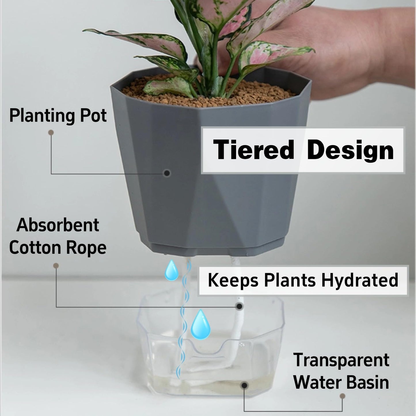 BovcTrraann 3 Packs Self Watering Plant Pots, Plastic Flower Pots with Drainage Hole and Saucer, Self Watering Planters for Indoor Outdoor Garden Plants, African Violet, Herbs (White, 6.7")