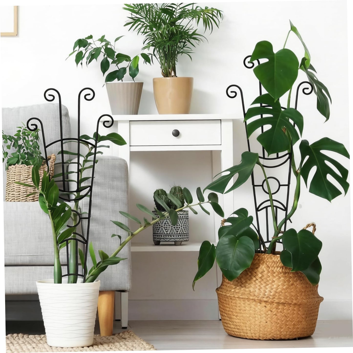 Trellis for Climbing Plants Indoor, 2 Pack Black Metal Trellis for Potted Plants, Adjustable Indoor Plant Support Monstera, Pothos, Ivy (32.7 Inch Tall) for Climbing