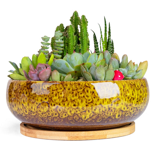 ARTKETTY Succulent Pots - 7.5 Inch Large Plant Pot with Bamboo Tray, Shallow Bonsai Pots with Drainage, Ceramic Planter for Indoor Plants, Cactus, Home Office Desk Decor