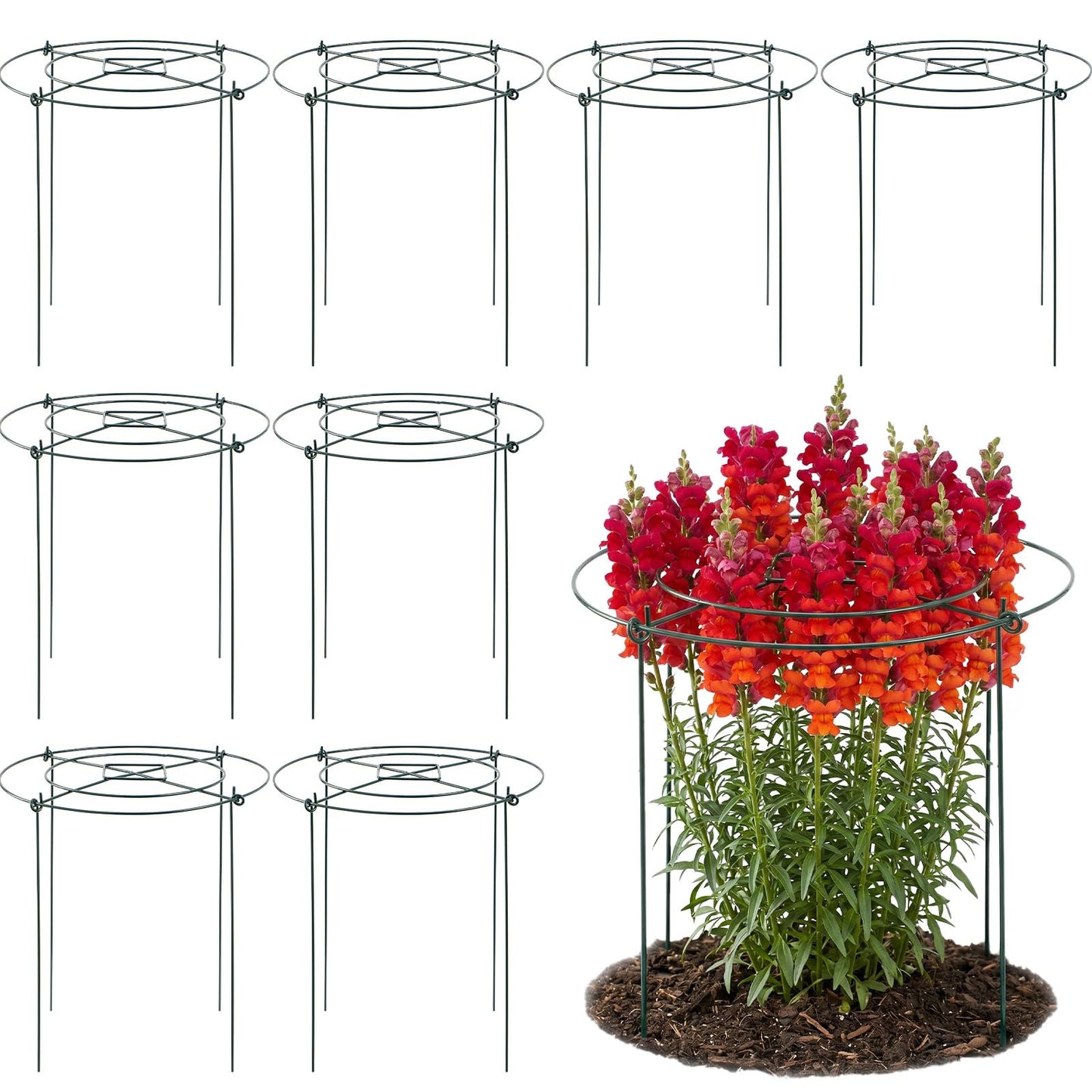 LIRAVENO Peony Cages and Supports - 8 Pack Plant Support Ring with 4 Legs 11.8" Dx17.7 H Round Potted Flower Grow Trellis Indoor Outdoor Garden Heavy Duty Metal Stakes for Rose Hydrangea Vegetables