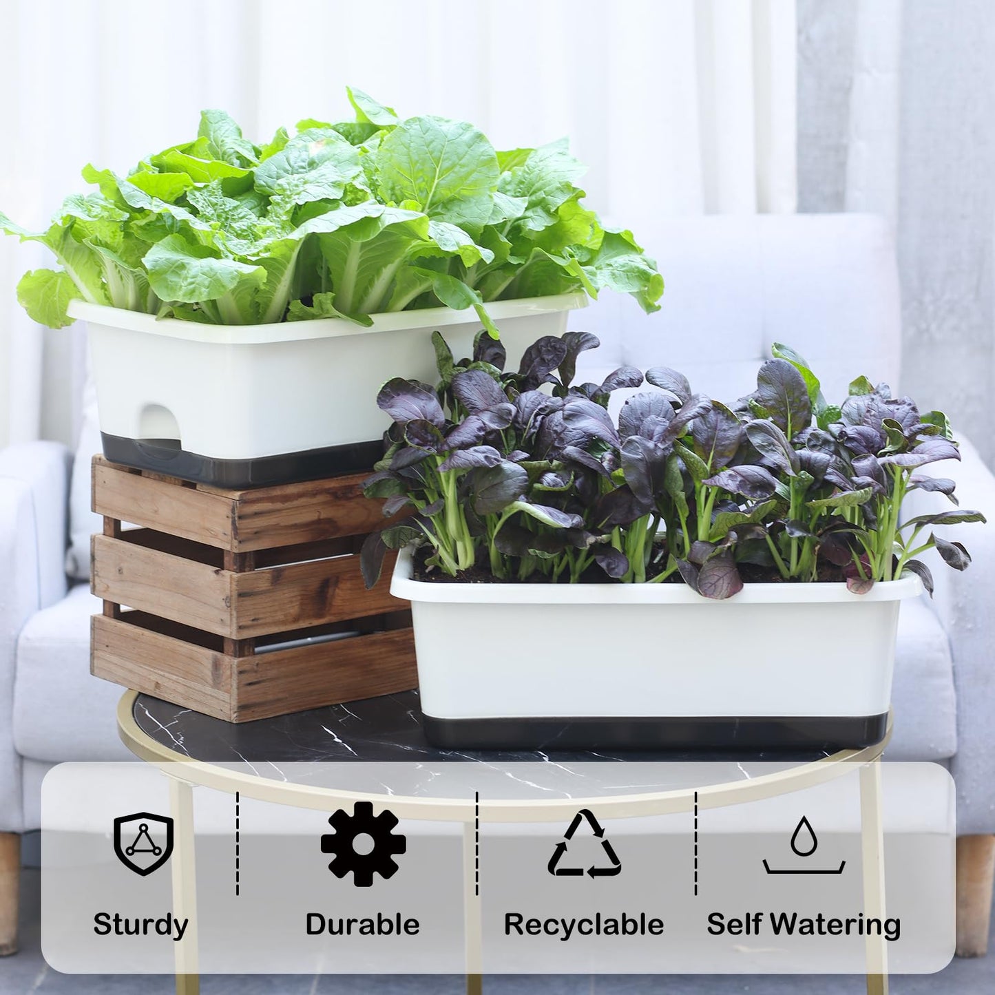 Window Box Planter 6 Pcs, 18 Inches Rectangle Flower Pots with Drainage Holes and Trays, Vegetable Planters for Windowsill Patio Garden Balcony Home Porch Yard Indoor Outdoor (White, 18*10*6 inch)