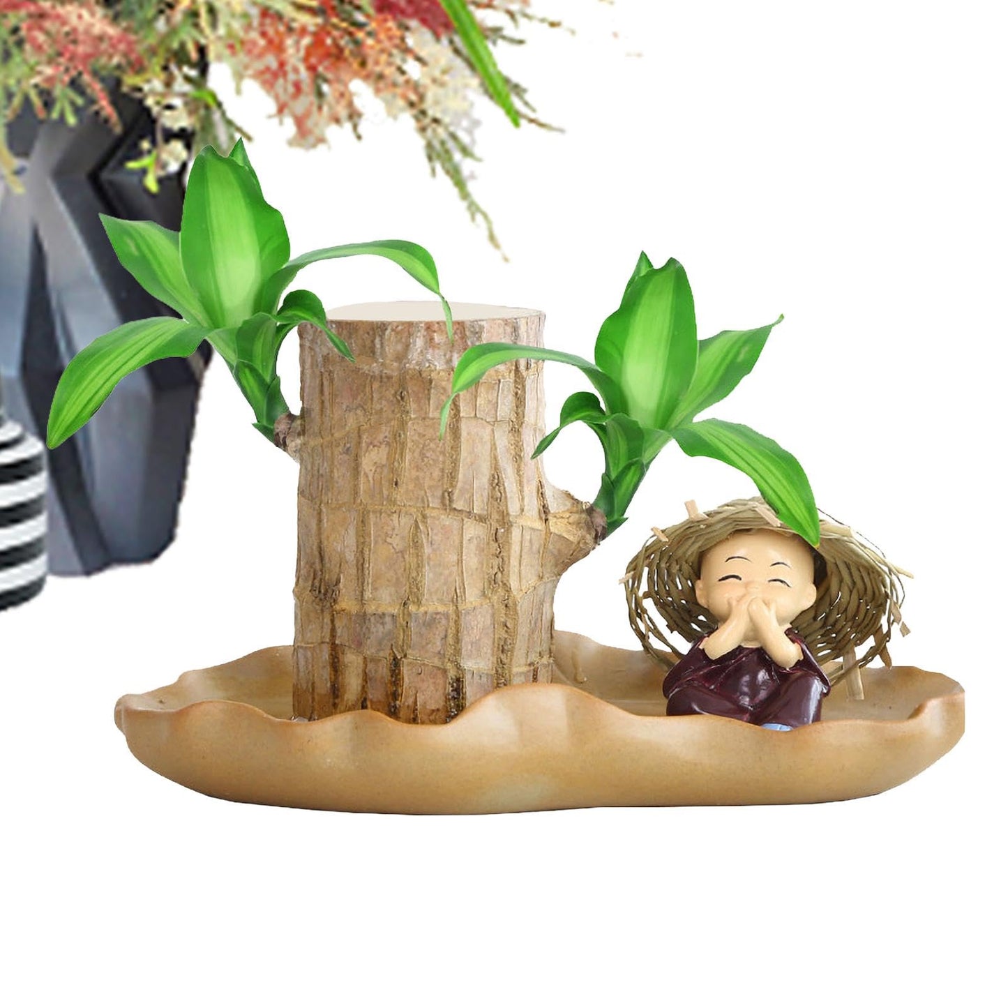 Brazilian Wood Plant, Brazilian Lucky Wood Plant with Pot, Brazilian Wood Hydroponic Plant for Purifying Indoor Air, Brazilian Wood Tree Stump, Brazil Lucky Wood Plant for Indoor Offic-e Desktop Decor