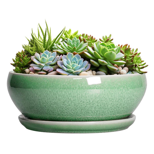 SQOWL Succulent Planter 12 Inch - Ceramic Bonsai Pots with Drainage Hole and Saucer, Large Shallow Planter, Bowl Round Planter for Indoor Outdoor Plants Flower, Room Decor, Birthday Gifts, Green