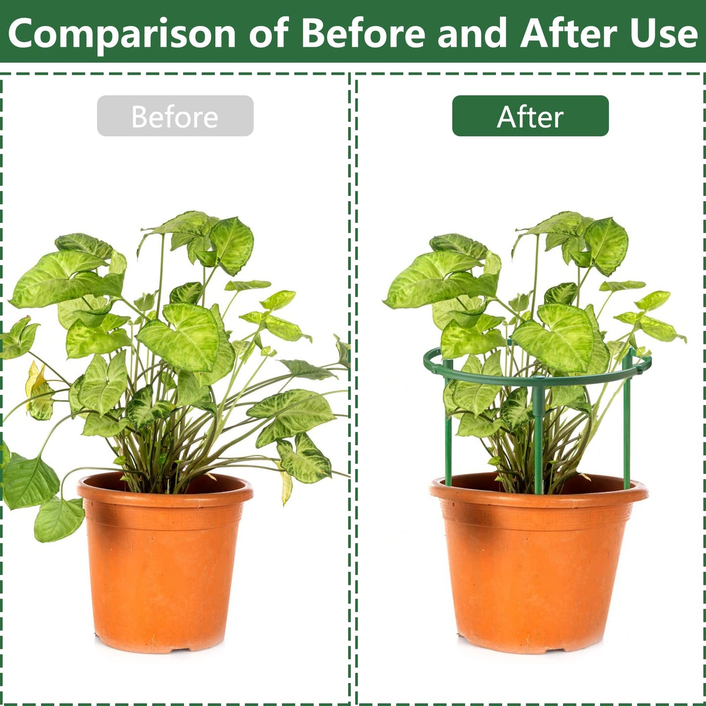 12Packs Plant Support Stakes Half Round Plant Stakes for Indoor Plants, Stackable 3 Tier Garden Flower Support, Plant Cages for Tomato,Monstera, Peony, Hydrangea, Climbing Plants