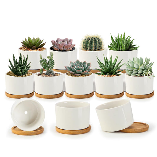 ZOUTOG Succulent Pots 3.1 Inch,Succulent Planters 12 Pack,Small Pots for Plants with Drainage and Tray,White Ceramic Flower Planters for Indoor Plants,Home,Office,Desk