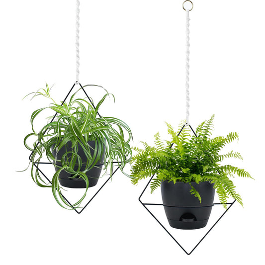 Koalaime Hanging Planters for Indoor Plants, 2 Set Self Watering Hanging Flower Pots, Modern Hanging Plant Baskets with Metal Plant Holder & 6.5 Inch Plastic Pots for Garden Home Decor (Black)