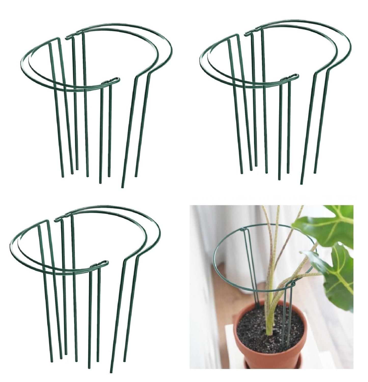 12 Pack 15.8 Inch High Plant Stake,Garden Plant Support,Half-Round Peony Cage Plant Ring Hoop
