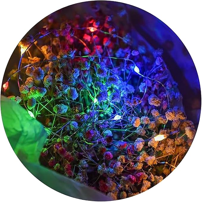 Sokelinn-six 2m 20 LEDs Fairy String Lights, USB Powered String Light for Desk Office Christmas Tree Party Decoration (Multi-Colored, 12)