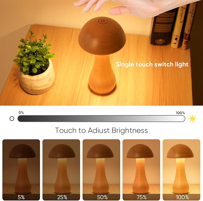 Cordless Mushroom lamp