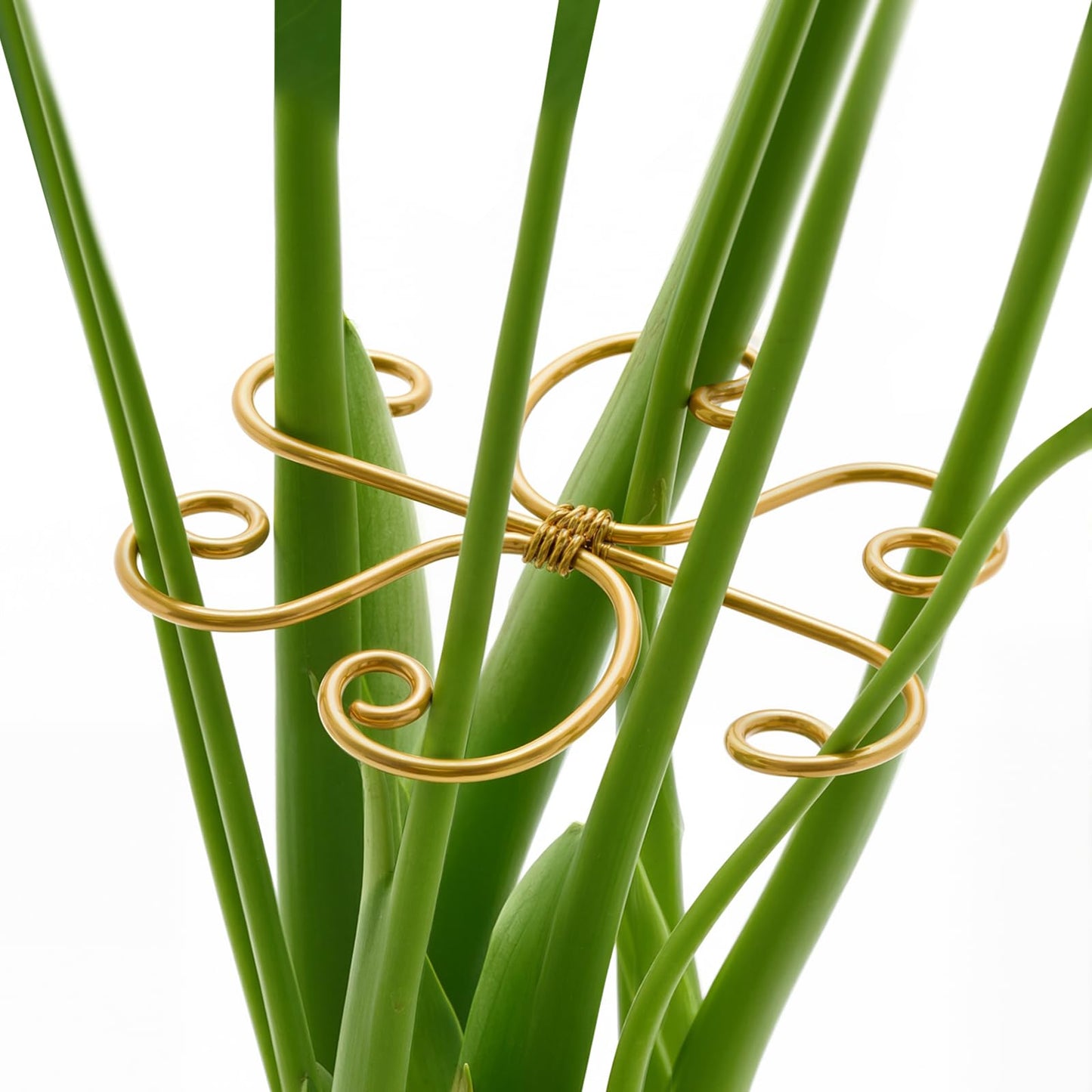 Yeomant 4PCS Iron Monstera Support, Uniquely Designed Plant Support Stakes for Indoor Plants, Stable Plant Stakes and Supports, Turtle Shell Bamboo Clamp Set for Thriving Growth