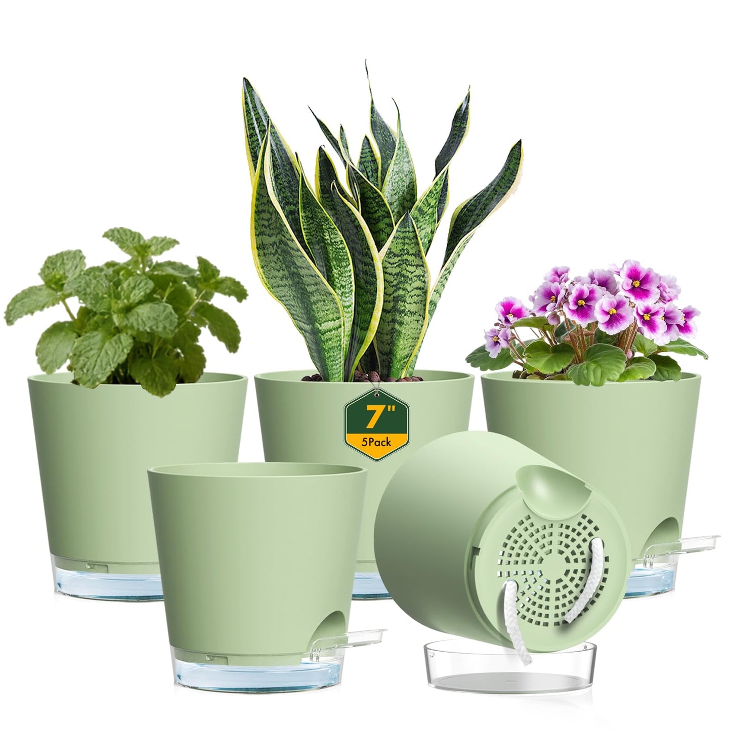 Meowell 7 inch Self Watering Pots for Indoor Plants, 5 Pack Plant Pots with Drainage Holes & Clear Reservoir for Visible Water Level, Plastic Wicking Planter Pots for House Plants and Flower, Green