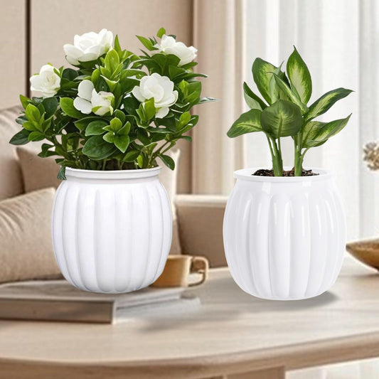 Qhzxcvlk 2 Pack Self Watering Planters Indoor Flower Pots, 5.1 Inch Clear African Violet Pots for Indoor Plants for Flower, Succulents, Plant Pots with Wicking Rope, Modern Decor(White)