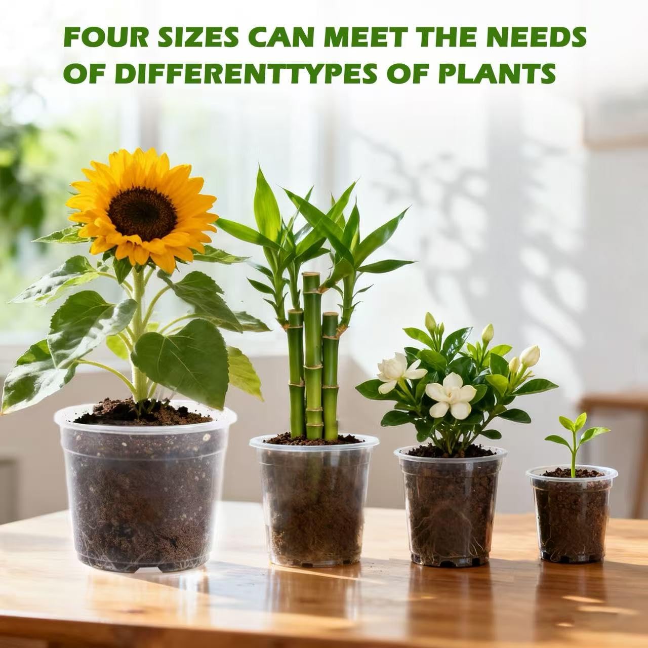 Lijnryu 36 Pack 3.5/5/6/7 Inch Clear Nursery Pots with Drainage Holes, Transparent Plastic Planters for Plants, Reinforced Seed Starter Pots Flower Pots for Indoor and Outdoor Use