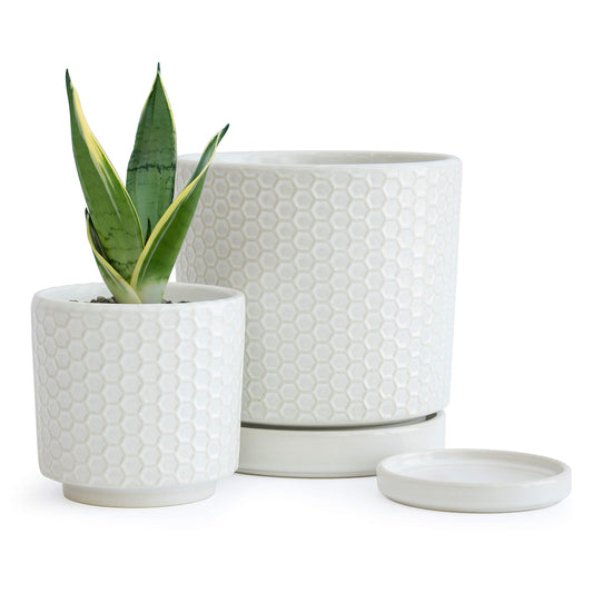 D'vine Dev Set of 2 Modern Matte White Honeycomb Embossed Ceramic Planter Pots with Saucer and Drainage Hole, 4 Inch & 6 Inch, 99-C-1-N