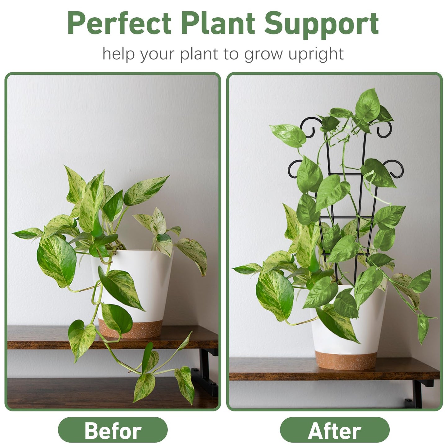 Xeeol 14.17in Trellis for Climbing Plants Indoor, Small Metal Plant Trellis for Potted Plants, Houseplant Trellis Plant Support for Hoya Pothos Vine, Set of 4p, Black