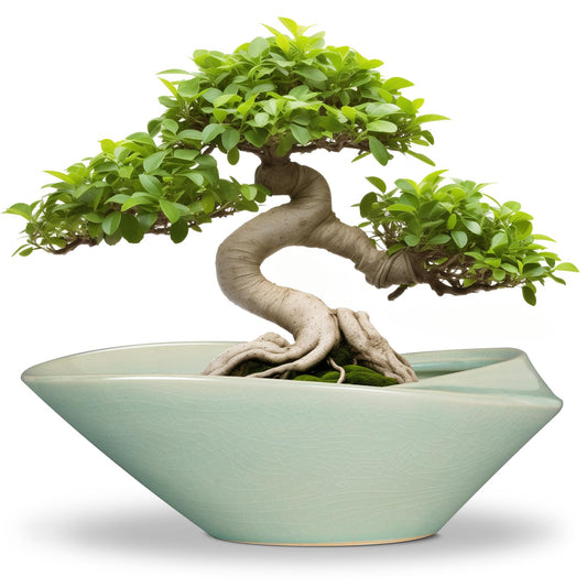 EPFamily Bonsai Pot - 12 Inch Ceramic Planter Pot with Drainage Hole Large Modern Planter Decorative Glazed Succulent Plant Pot for Indoor Outdoor Plants Green