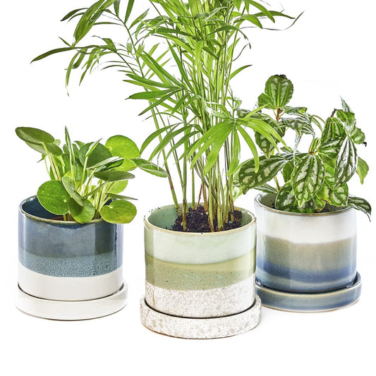 CHIVE ‘Minute’ Ceramic Succulent Planters — Set of 3 — 3” Indoor Cactus & Flower Container Pots with Drainage & Detachable Saucer — Green Blue Mix