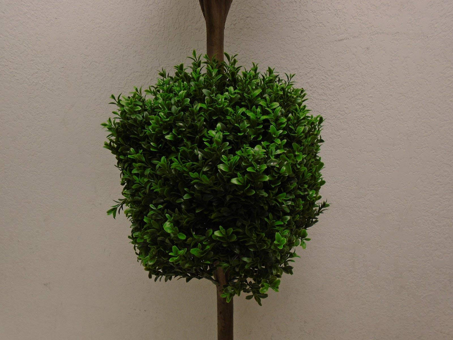 4' Double Ball-shaped Boxwood Topiary in Plastic Pot Two Tone Green