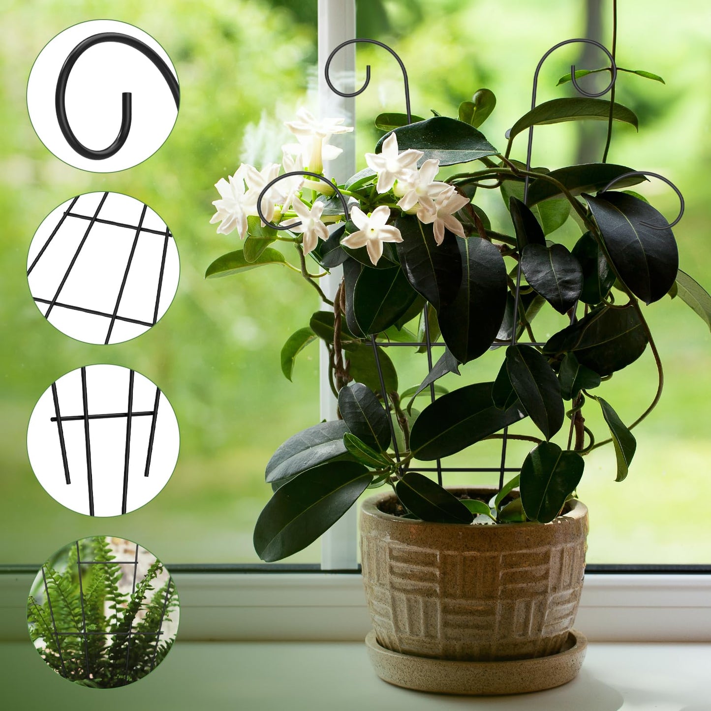 XYDHQS 2Pcs Trellis for Potted Plants, Indoor Outdoor Rustproof Garden Trellis, Strong Load Bearing, Iron Sturdy Houseplants Climbing and Creeping Support for Garden Courtyard Balcony