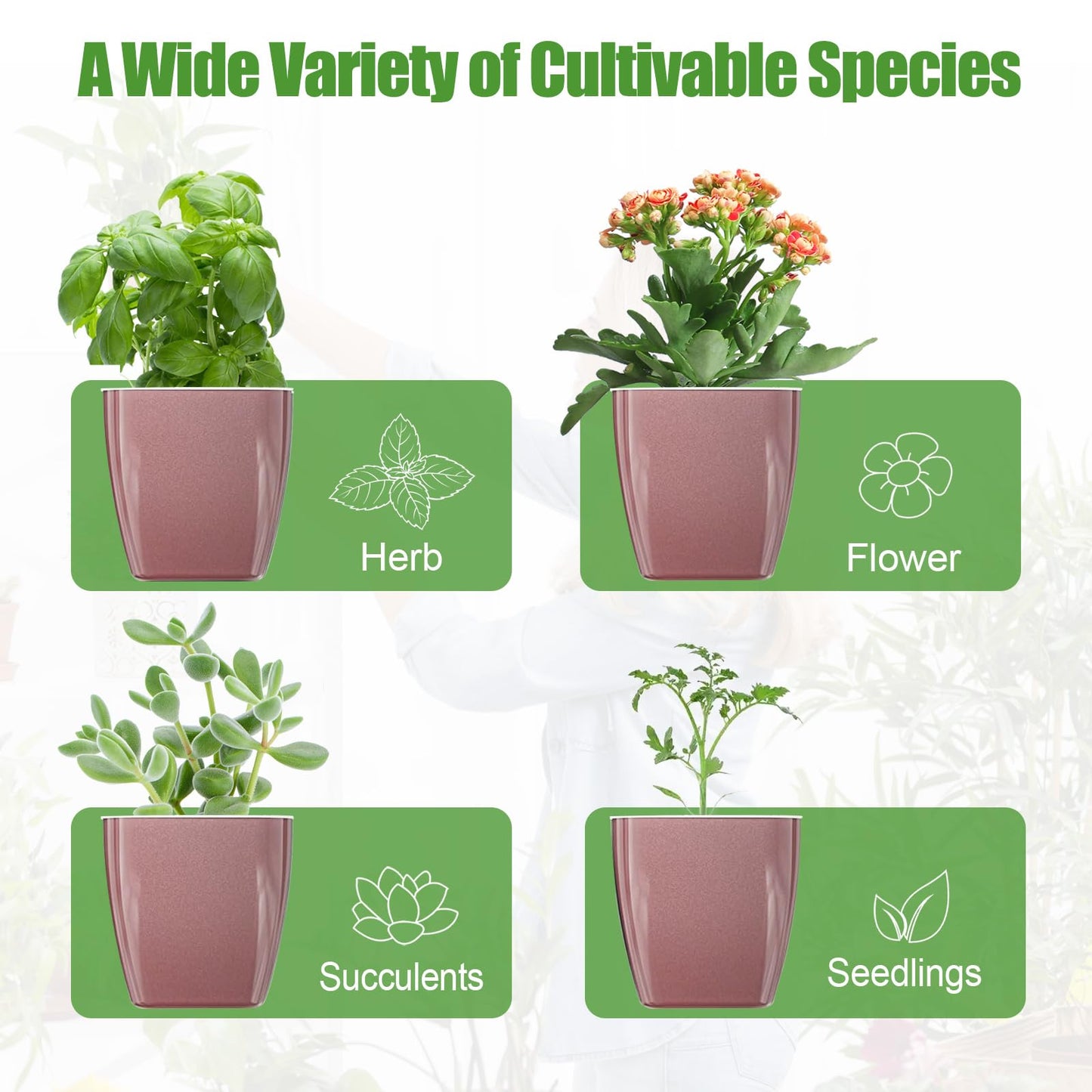 Oliz 4 Pack Self Watering Pots 4-inch Decorative Flower Planters for Indoor Plants Modern Square planters for Small Plants Window Sill Planters for Succulents, African Violets, Herbs(Rose Gold)