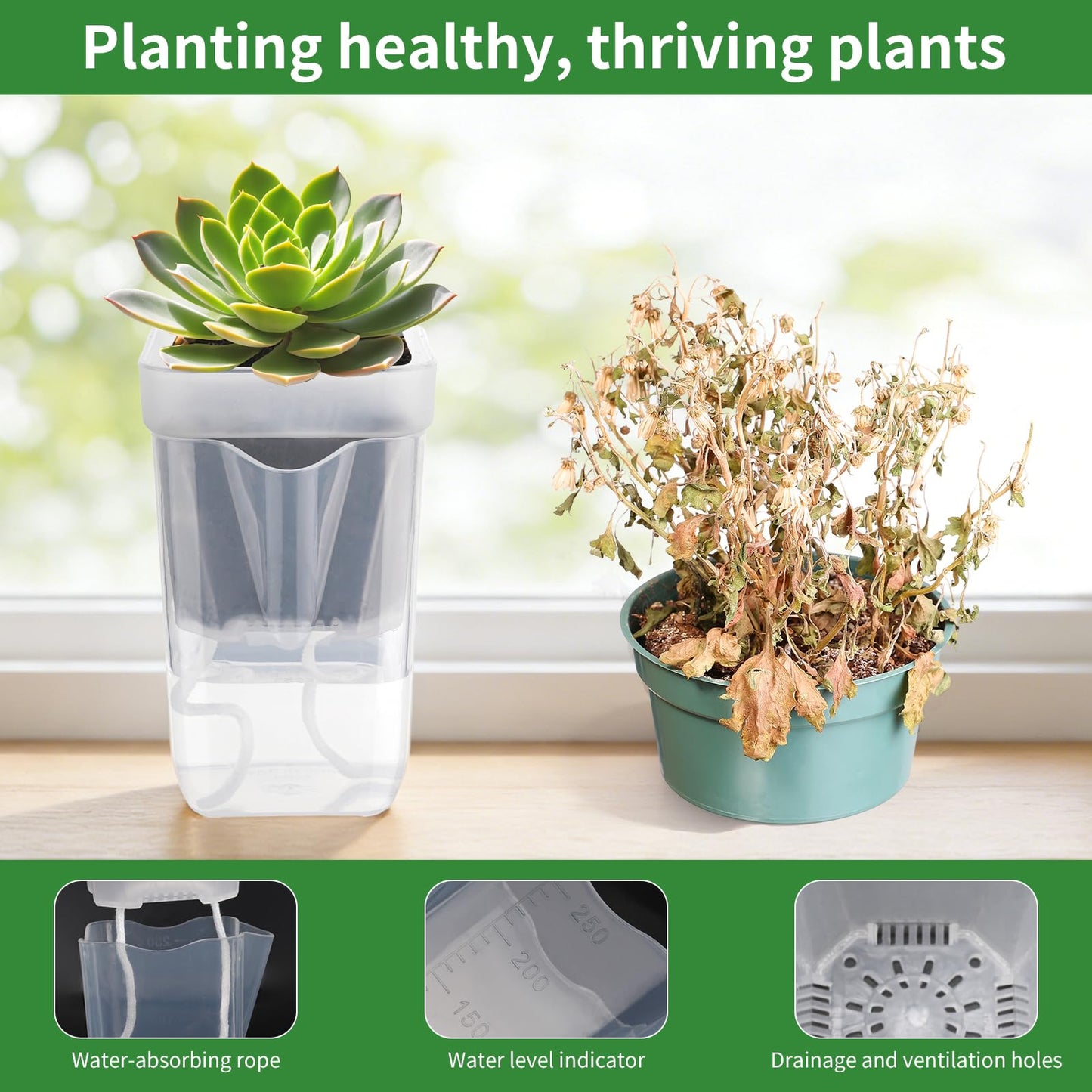 10 Pack 2.5 Inch Small Self Watering Pots for Indoor Plants Mini Clear Plastic Planters, Self Watering Pot for Propagation Cuttings Seedlings, Herbs, Succulents, Pothos Spider Plants