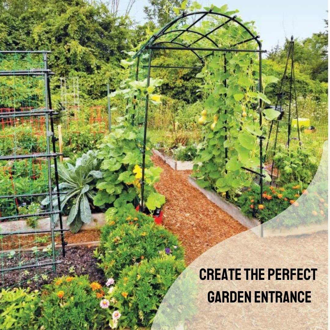 Gardener’s Supply Company Extra Tall Garden Arch Arbor | 80 Inch Tall Titan Squash Tunnel | Lightweight Metal, Trellis Plant Stand for Climbing Vines | Outdoor Lawn Tower & Support Structure