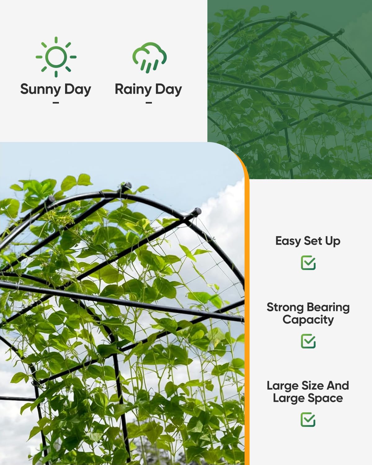 Dollate Garden Arch Trellis 7FT, Thickened Steel Frame Garden Trellis for Climbing Plants, Adjustable Width 3-4.3 FT Cucumber Trellis for Raised Bed, Vegetable Fruit Flower Vine