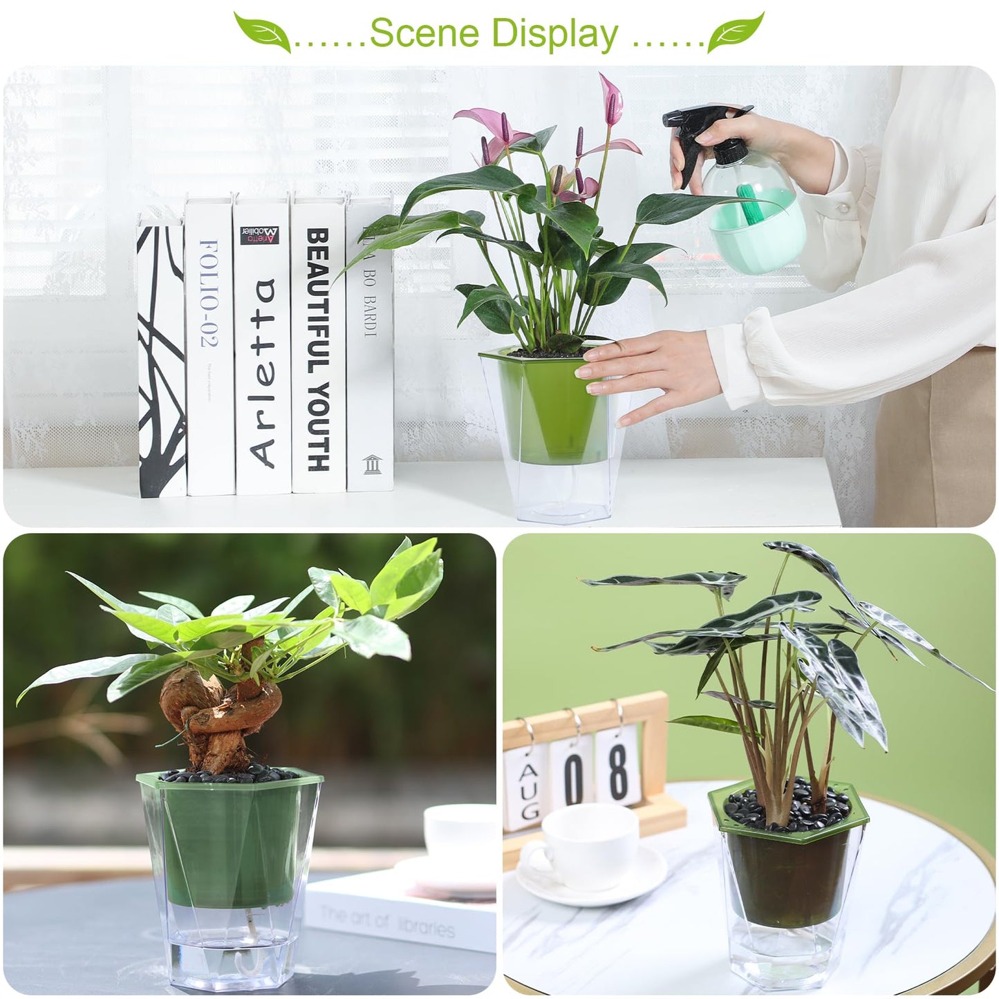 Oliz Self Watering Planter 5 Pcs, 4.5 Inch Flower Plant Pot with Transparent Inner Pot, Gardening Flowerpot with Watering Can, Indoor Self Watering Planter Pot for Herbs, Flowers (Green)