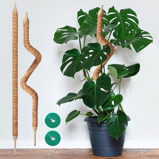 Vanut 2-Pack 35in Moss Poles for Climbing Plants, Adjustable Plant Support Sticks for Monstera, Pothos Vines, Philodendron, Fishbone Cactus & Indoor Tropical Houseplants, Coco Coir