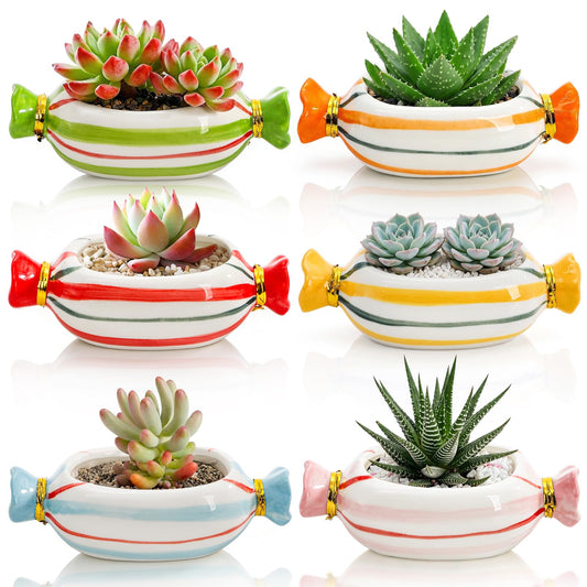 Pumtus 6 Pack Small Ceramic Succulent Pots, 5 Inch Cute Mini Planter with Drainage Hole, Colorful Candy Shape Cactus Flower Pot, Desktop Bonsai Garden Pots for Indoor Outdoor Use, Home Decor Gift
