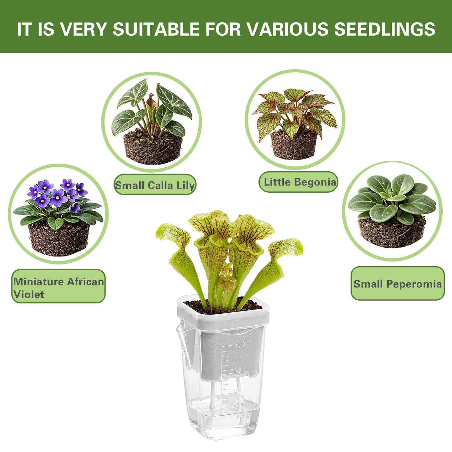 20 Pack Mini Self Watering Pots for Indoor Plants, 2'' Small Clear Plastic Planters with Water Level Indicator & Drainage Hole, Automatic-Watering Pot for Propagation Succulents and African Violet