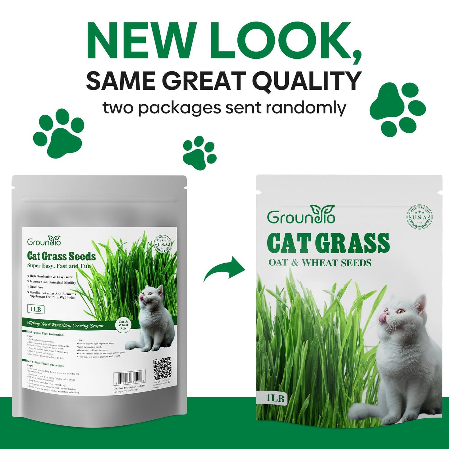 Groundio Cat Grass Seeds, 16 OZ, Grown in The USA for Indoor Cats, Non-GMO, 1 Pound